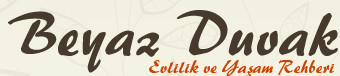 html css templates